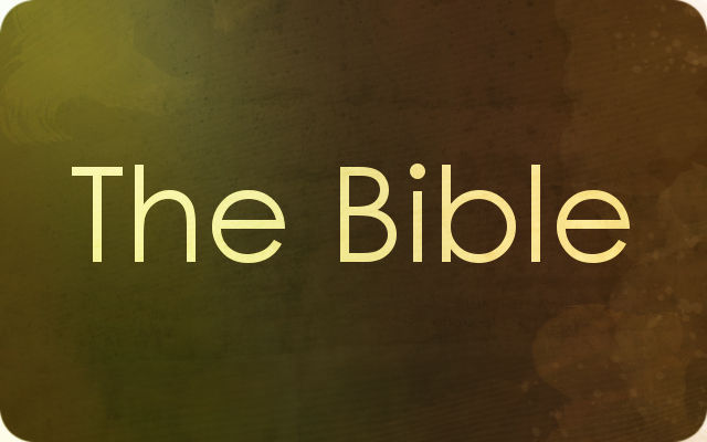 Read more about the article The Bible